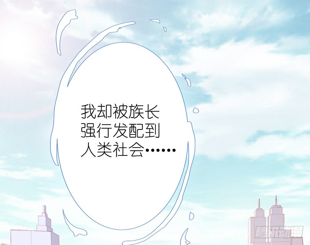 我的錦鯉少女 - chapter·001(1/6) - 7