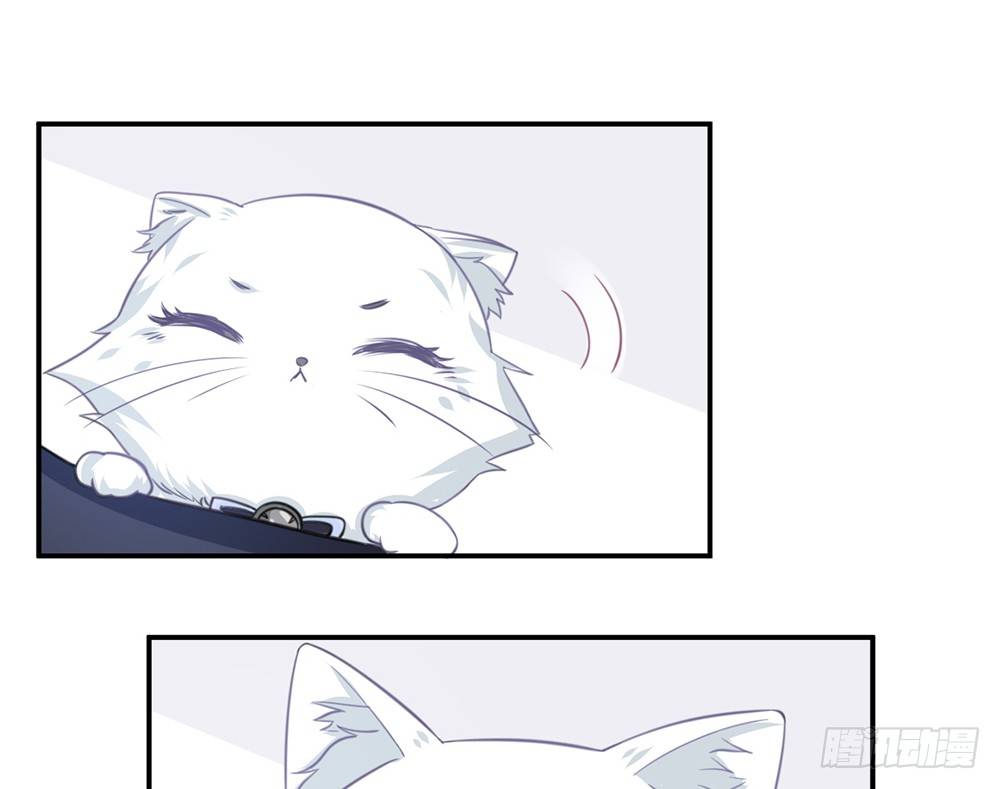 chapter&middot;005(1/4)-第5话