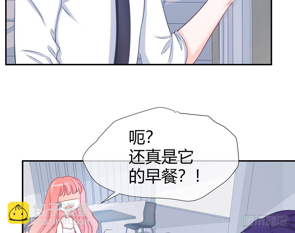 我的錦鯉少女 - chapter·005(1/4) - 7