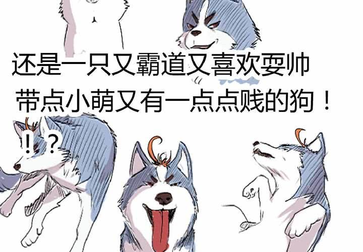 作品预告-第1话