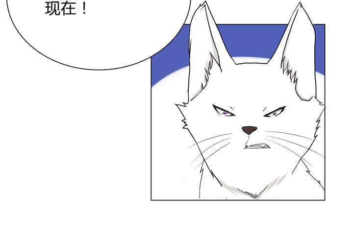 第24话 大敌来袭(1/2)-第25话