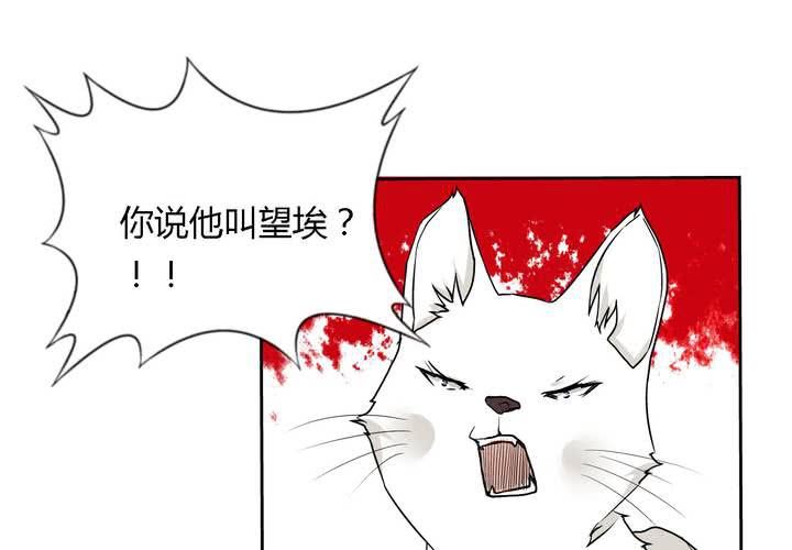 第26话 终章(1/3)-第27话