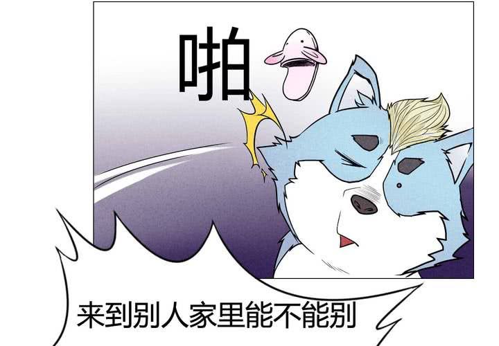 第4话 收留(1/2)-第5话