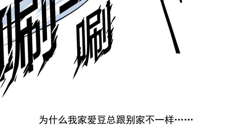 男团小剧场-第15话