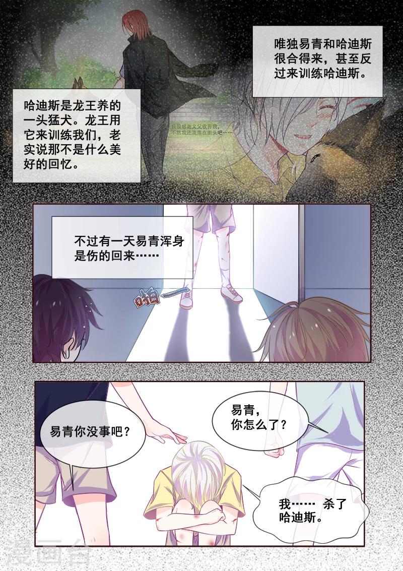 我的男友風淨塵 - 第337話 龍睿的挑釁 - 2