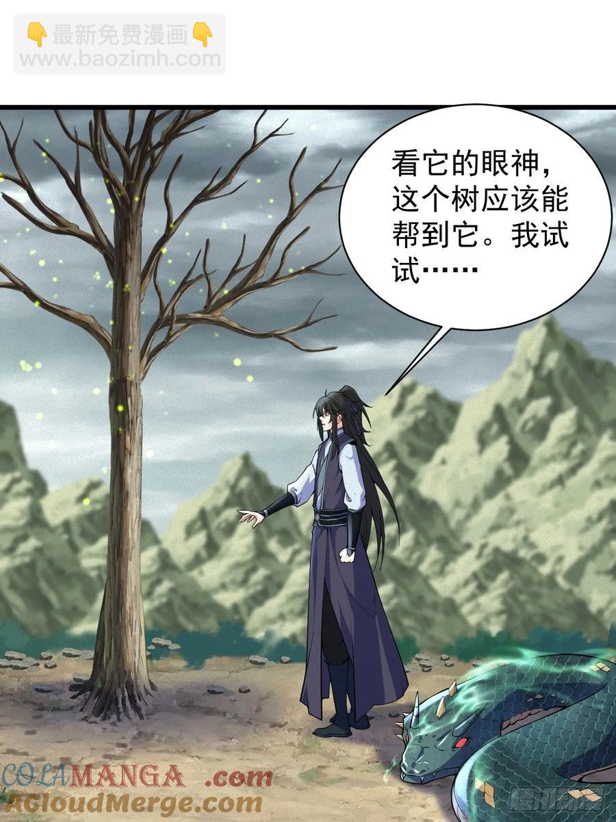 黑蛇是前世灵宠-第43话