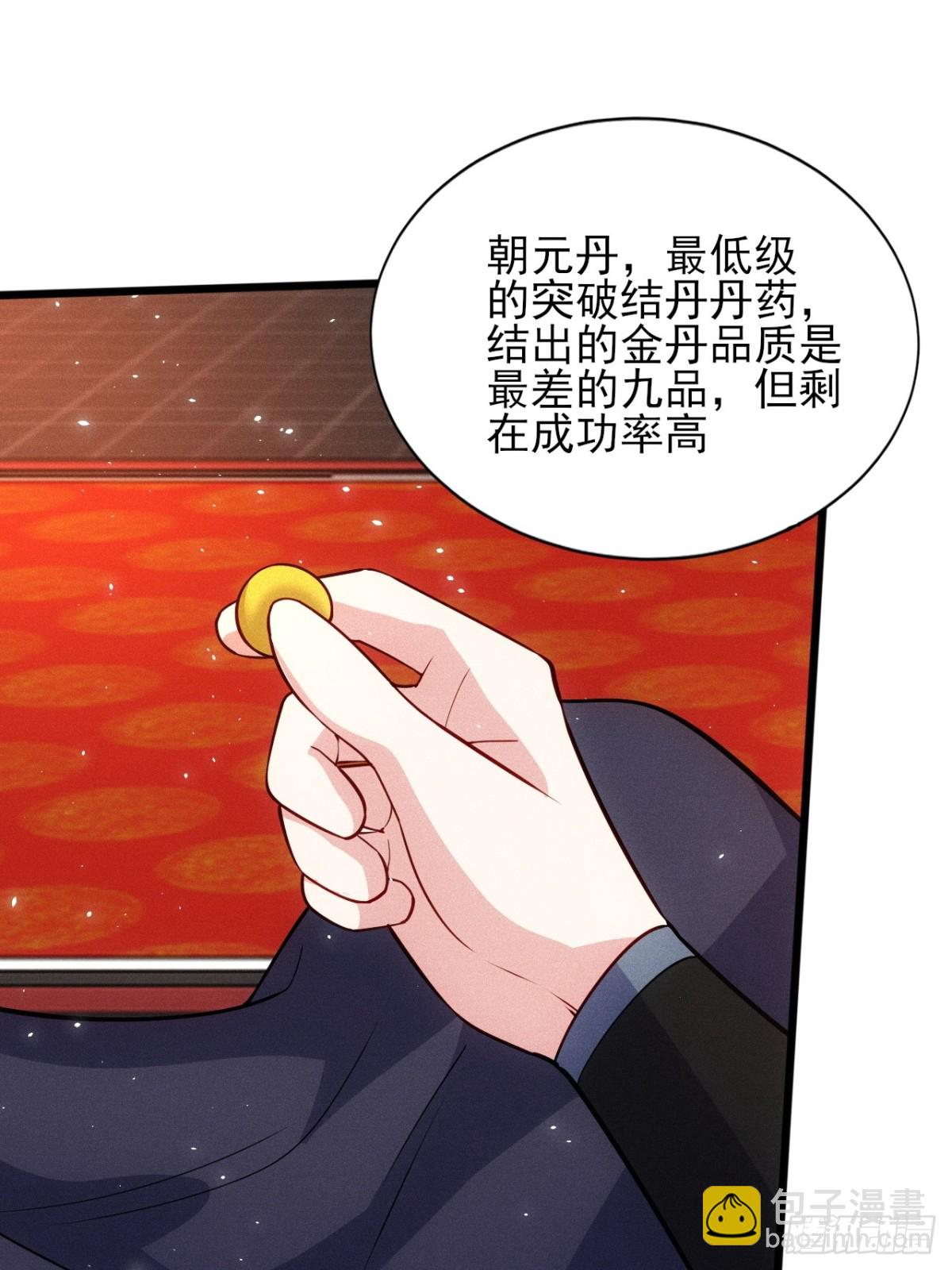 我的妻子是大乘期大佬 - 晉升金丹(1/2) - 5