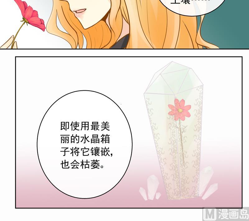 第53回 坑妹高手-第53话