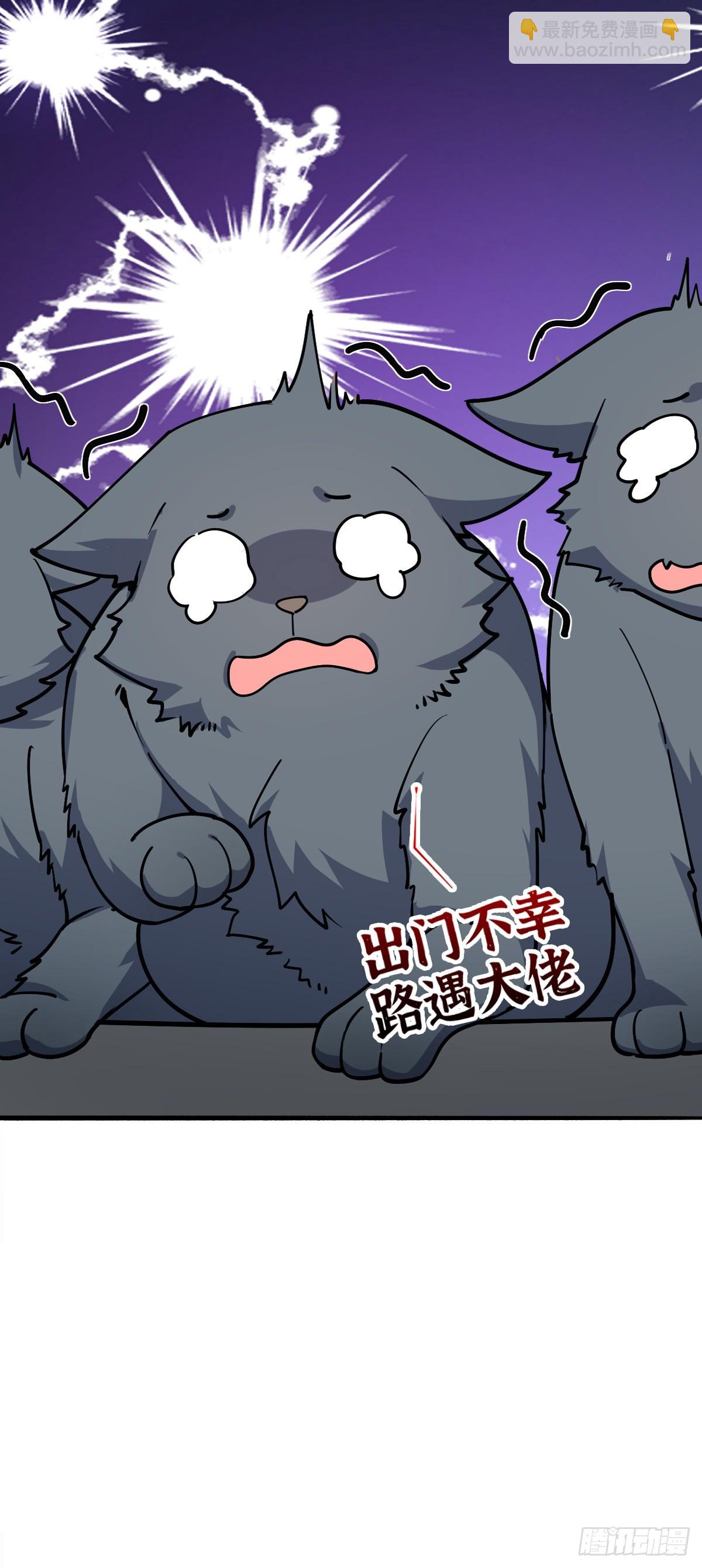 10 叶逍遥(1/2)-第11话