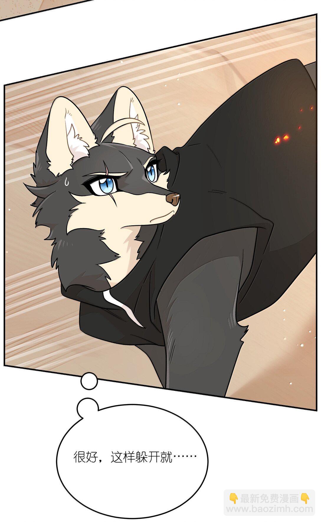 196 评估结果-第207话