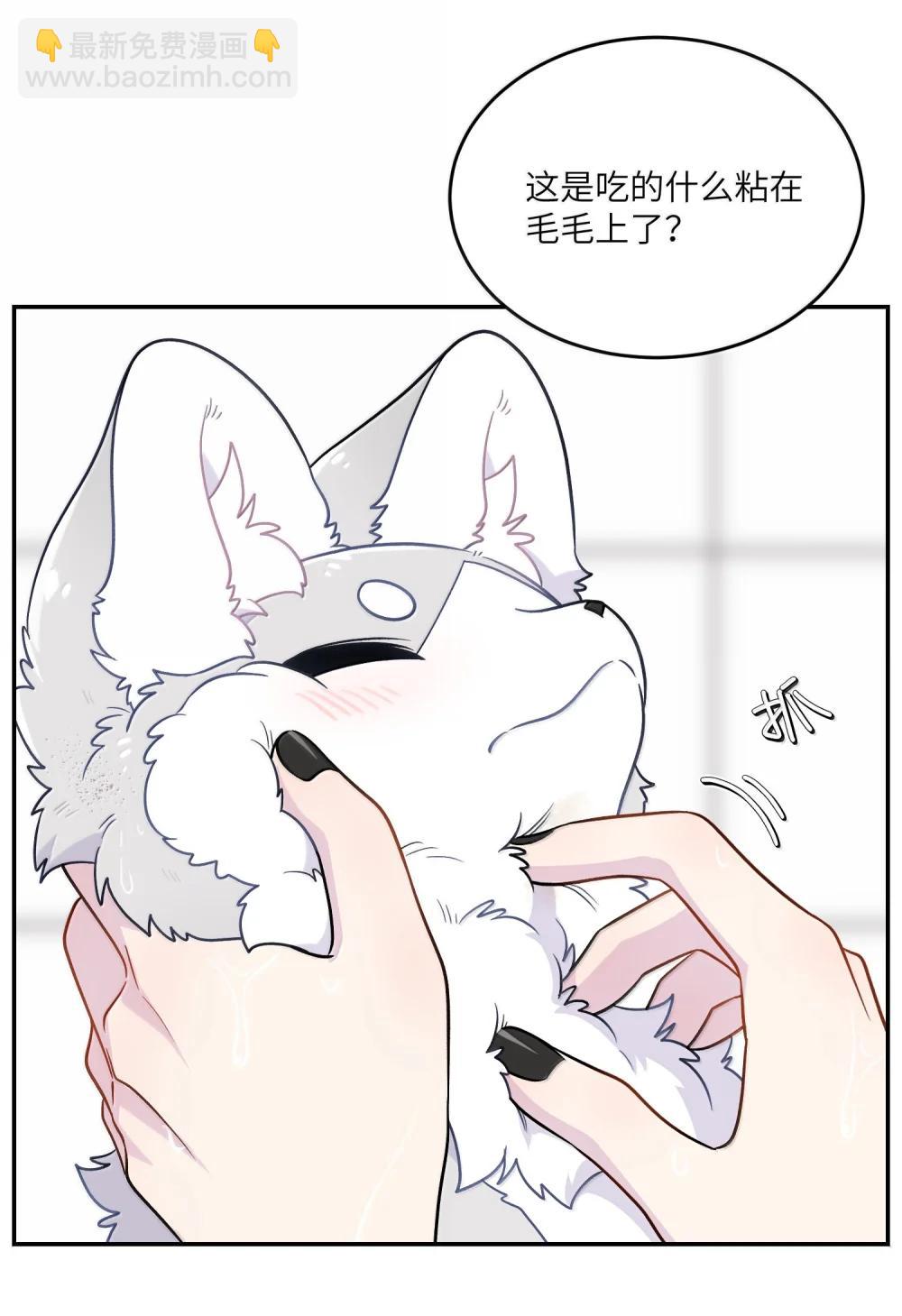 200 狼崽历险记（评论抽奖）(1/2)-第211话