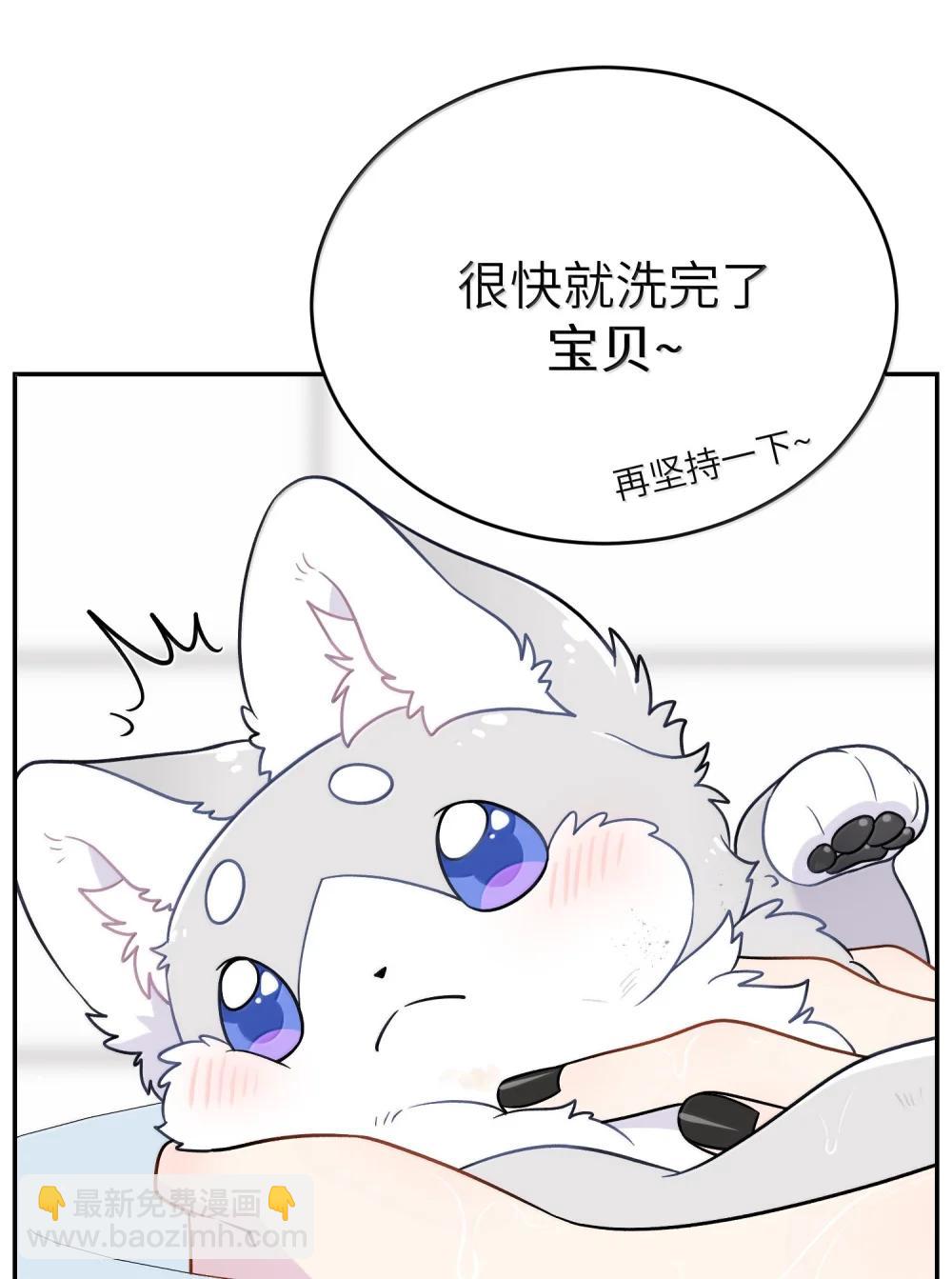 200 狼崽历险记（评论抽奖）(1/2)-第211话