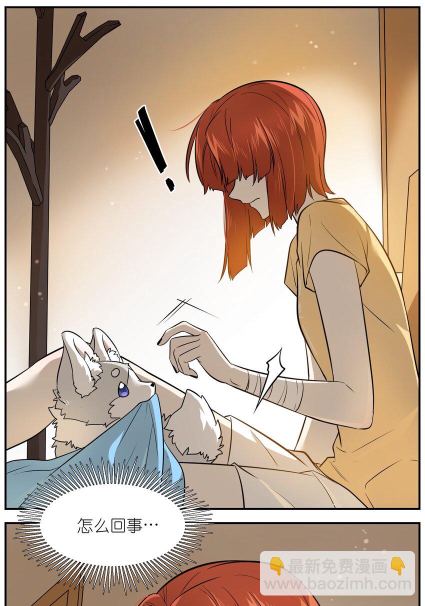 033 是小黑！-第33话