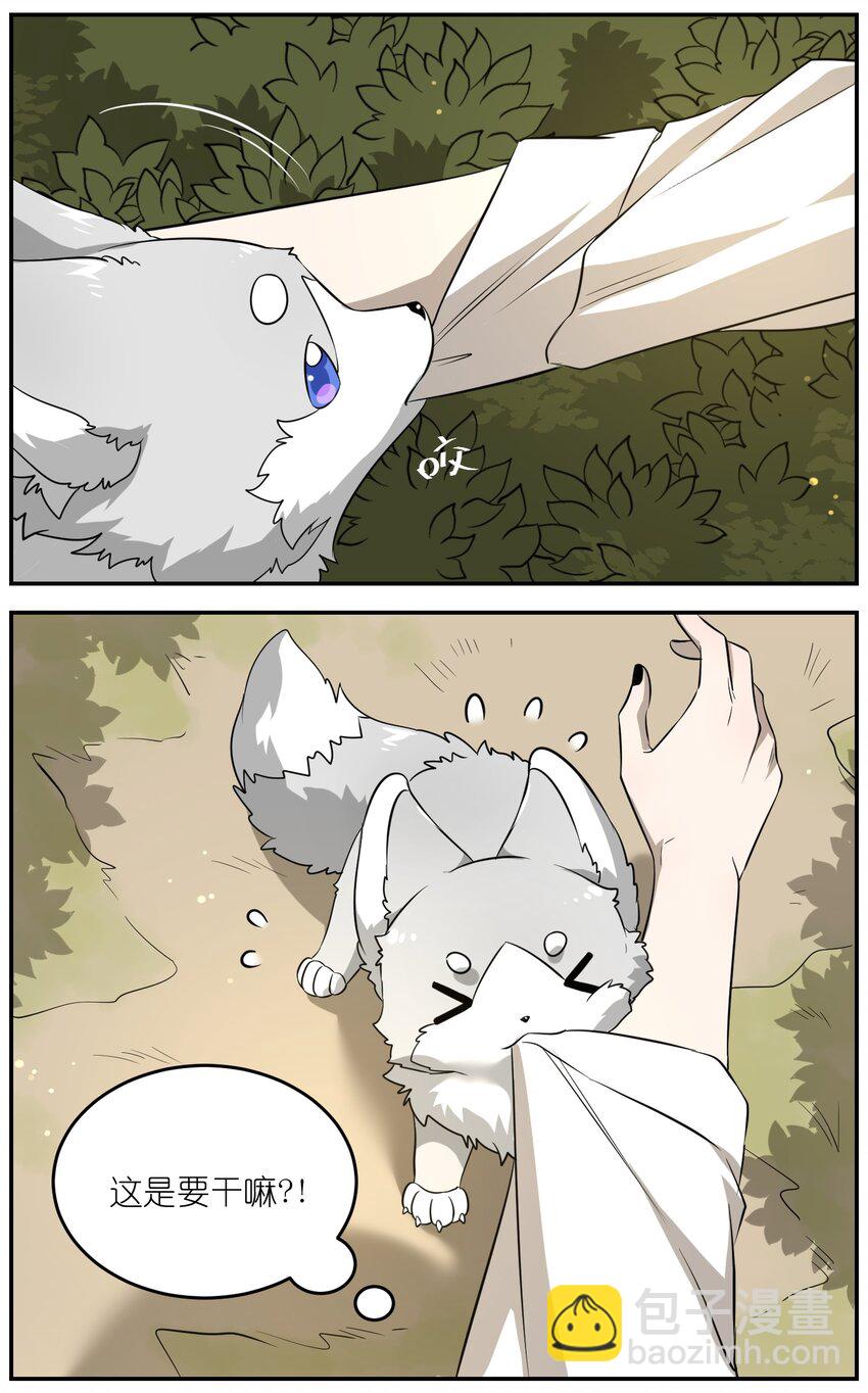 特别篇1 小红帽-第35话