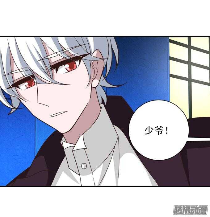 小小吸血鬼(1/2)-第65话