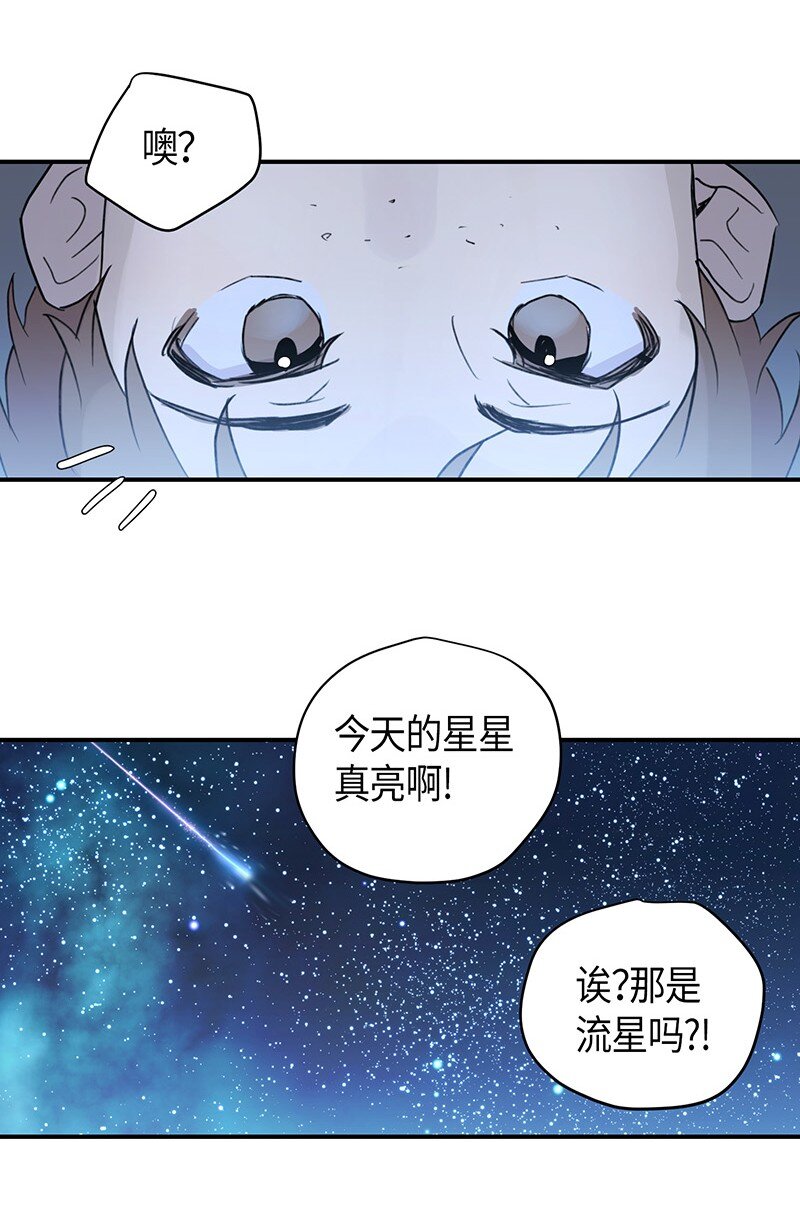 01 圆梦计划(1/2)-第1话