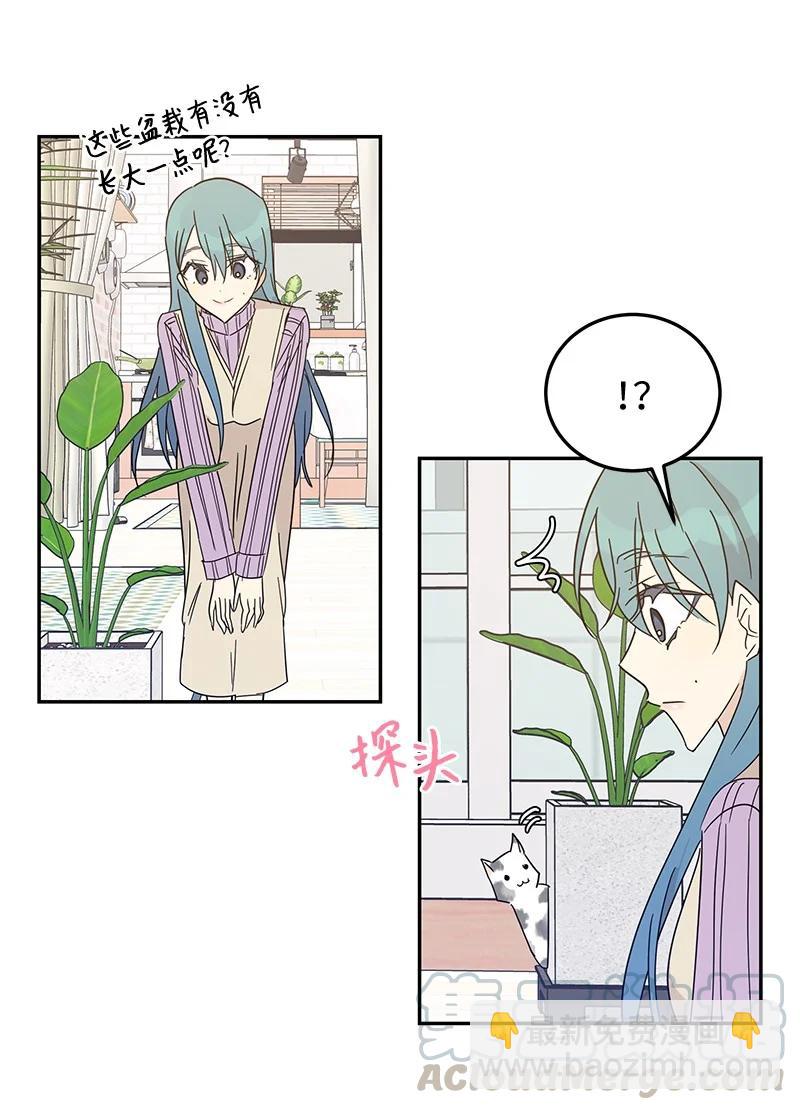 61 生日派对(1/2)-第55话