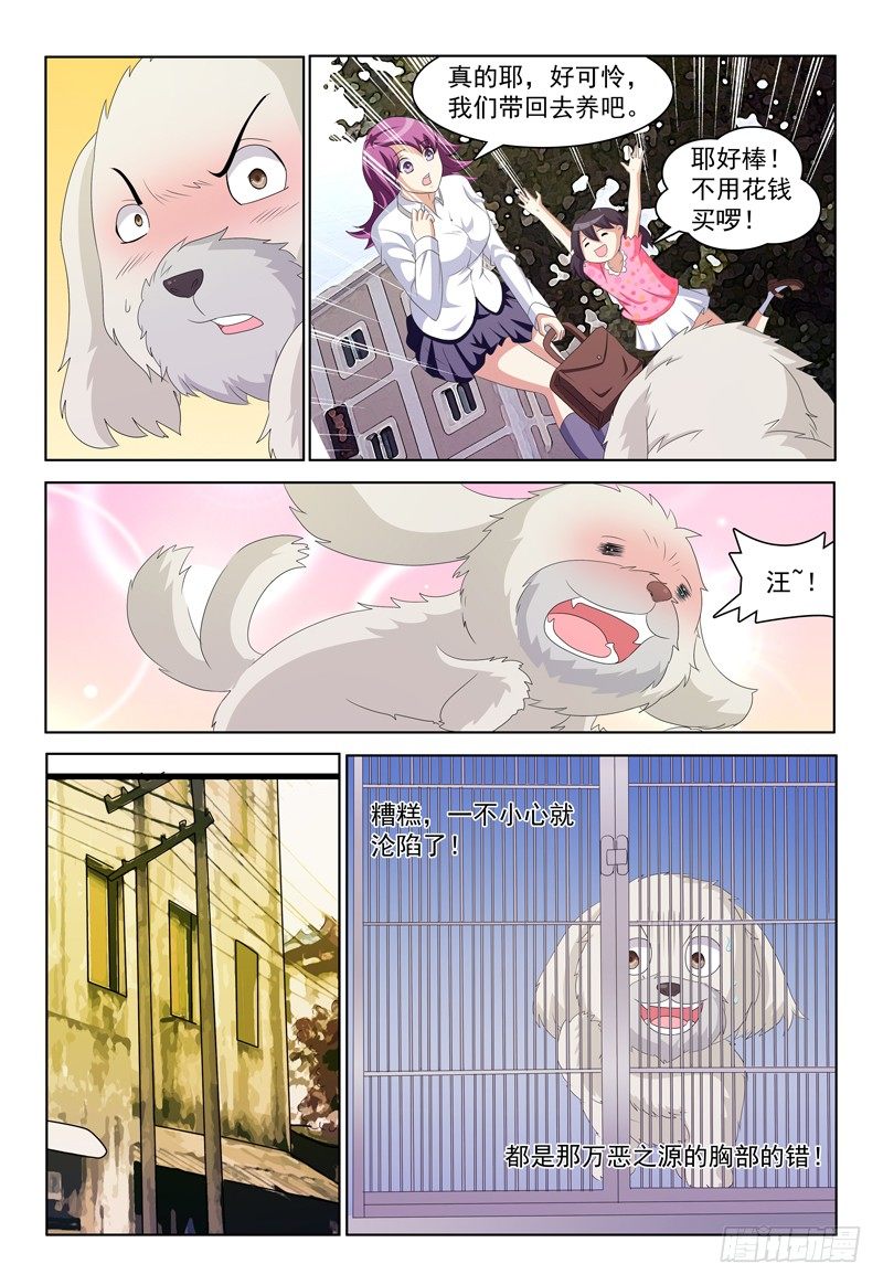 第22话 追求者-第23话