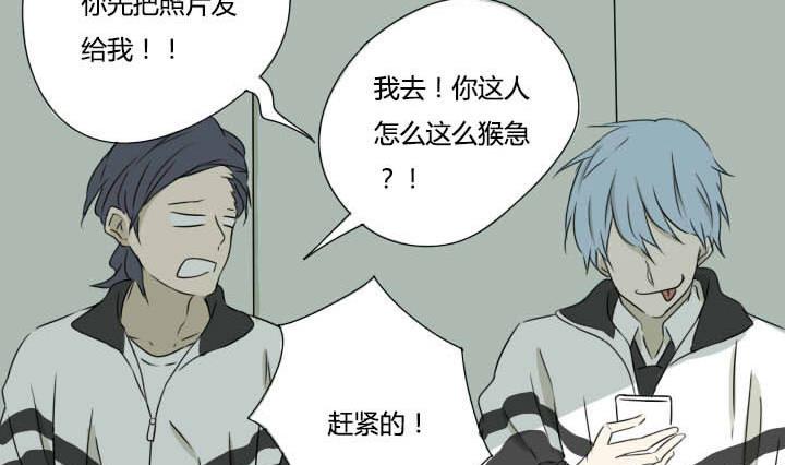 第3话 猪队友炼成-第3话