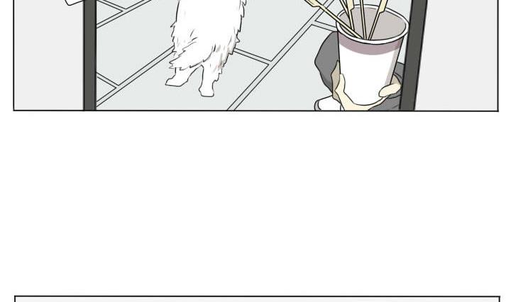 第83话 宠物-第83话