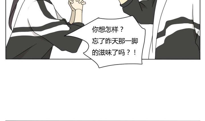 第99话 仓鼠君们-第99话