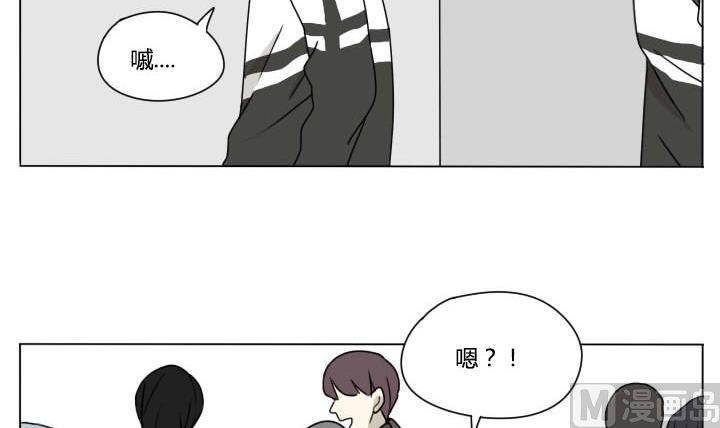 第99话 仓鼠君们-第99话