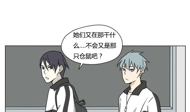 第99话 仓鼠君们-第99话