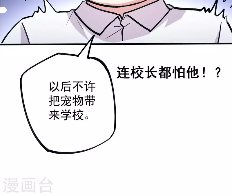 第1话 预告-第1话