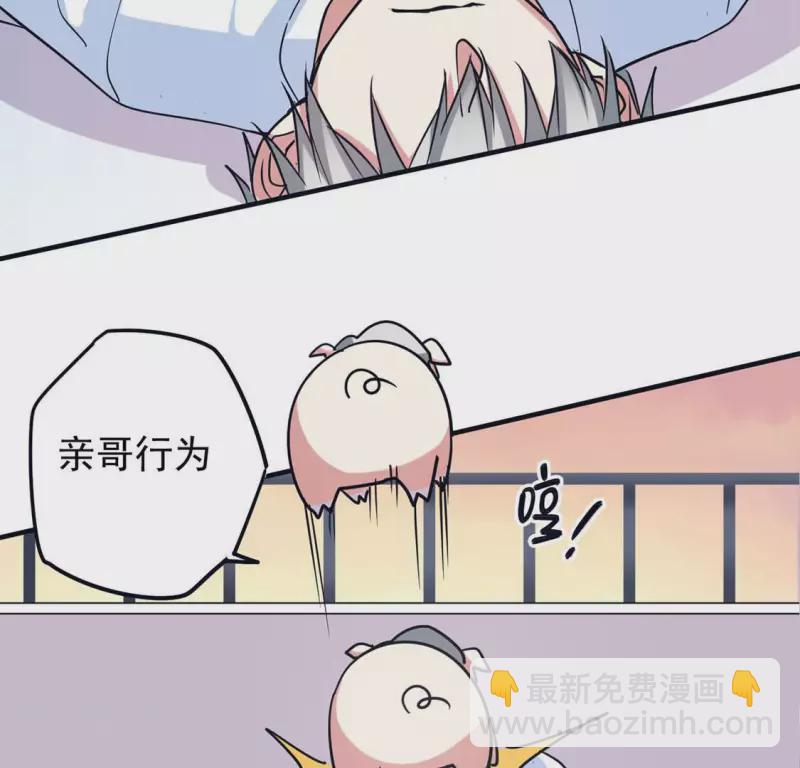 最终话 猪弟弟消失了(1/2)-第71话