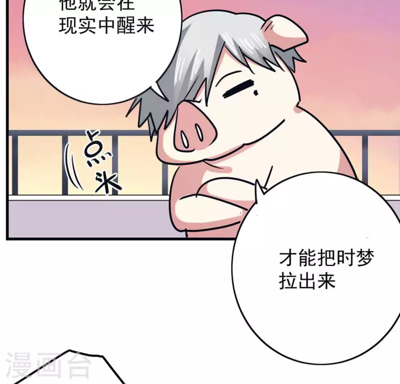 最终话 猪弟弟消失了(1/2)-第71话