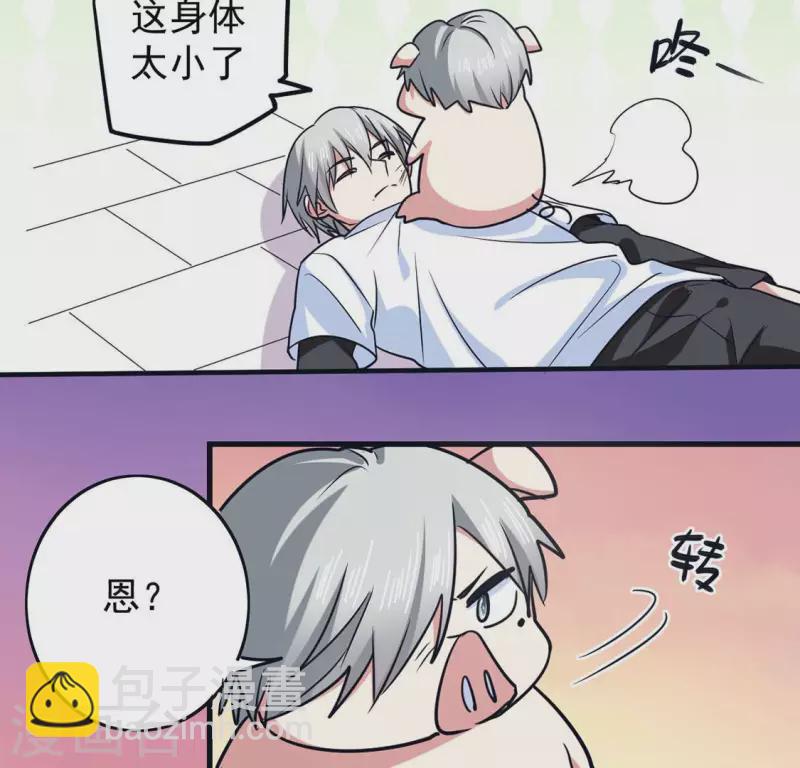 最终话 猪弟弟消失了(1/2)-第71话