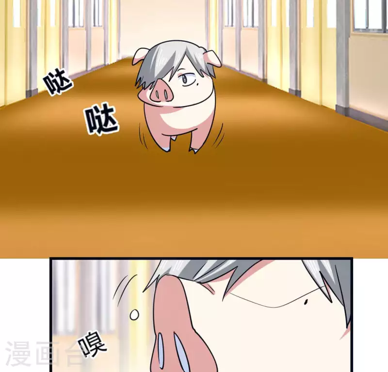 最终话 猪弟弟消失了(1/2)-第71话