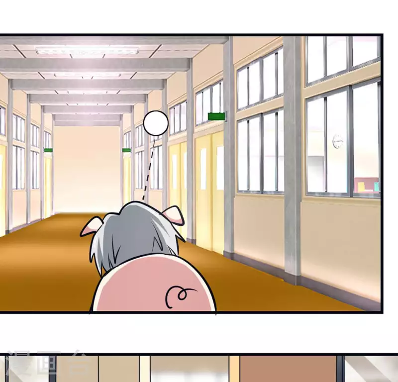 最终话 猪弟弟消失了(1/2)-第71话