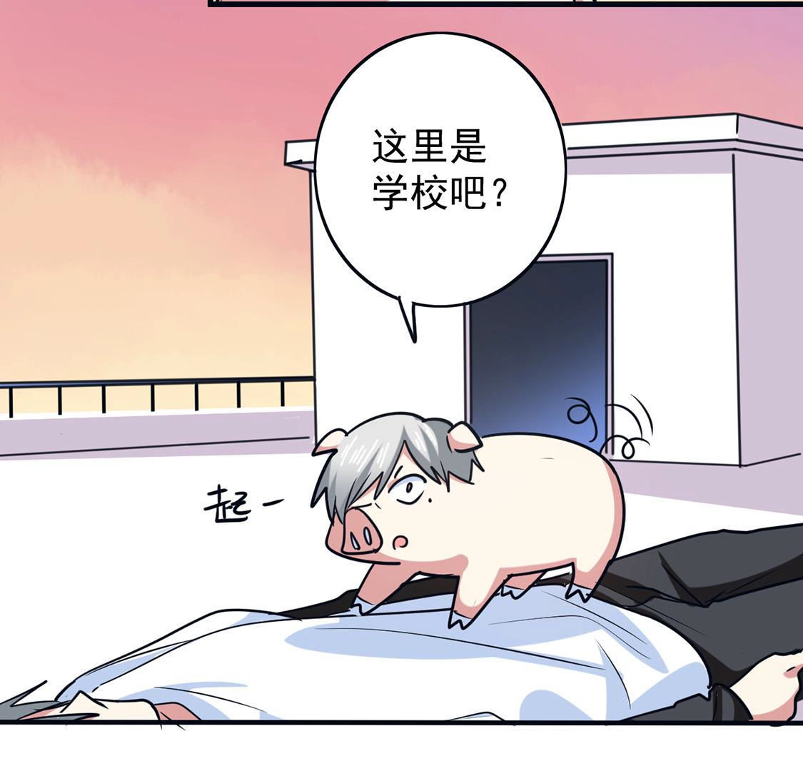 第64话 猪弟弟消失了(1/2)-第65话