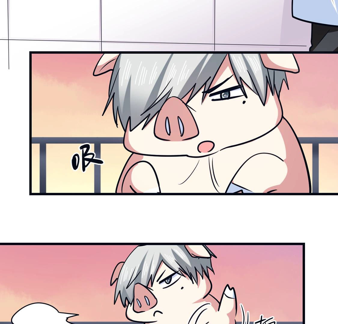 第64话 猪弟弟消失了(1/2)-第65话