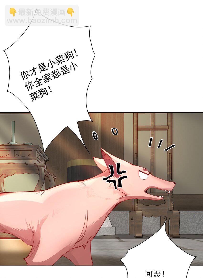 我的徒弟居然是女帝 - 20 撿個小菜狗 - 2