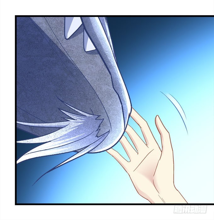 你到底看见了什么？(1/2)-第67话