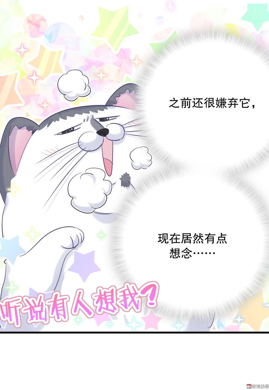 第64话 阿靓不见啦！(1/2)-第61话