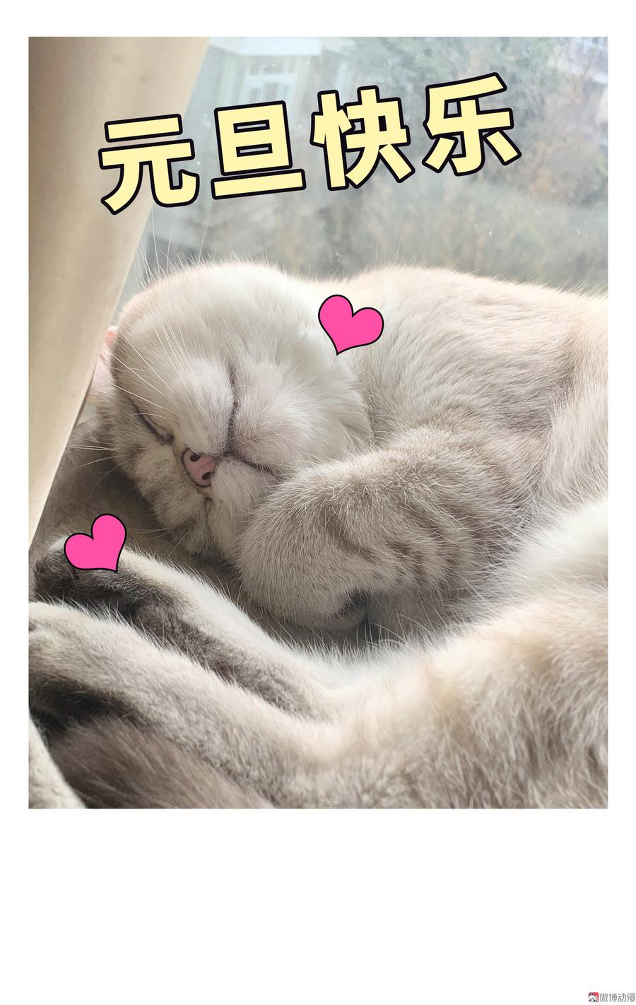 第72.5话 元旦特辑-第69话