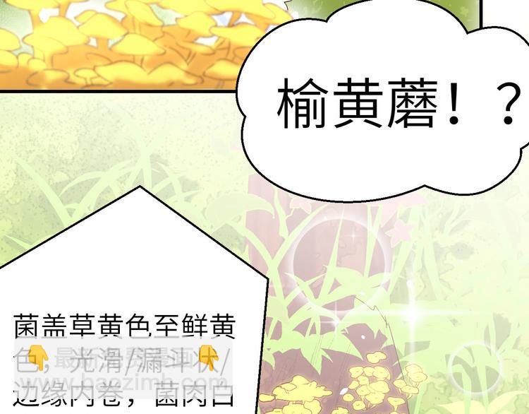 第4话 对她起了杀心(1/3)-第5话