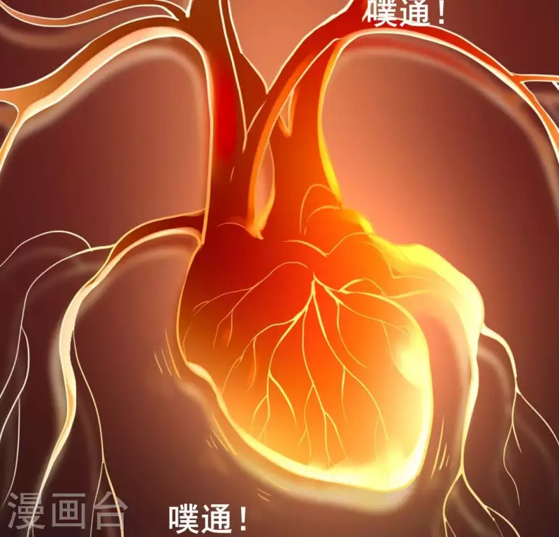 第207话 今夜你准备好了吗？-第213话