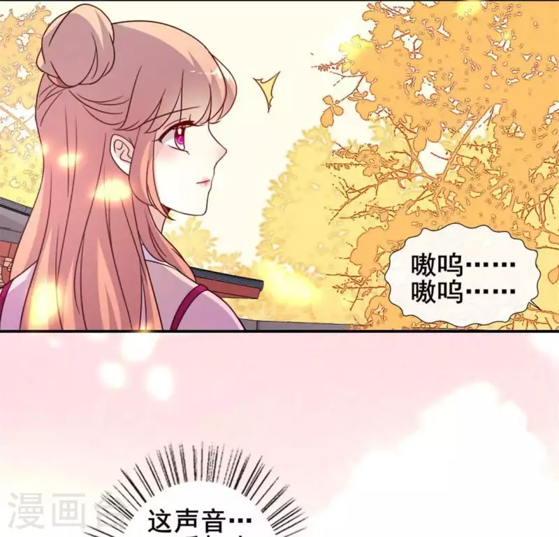 第36话 三堂主给的手帕-第41话