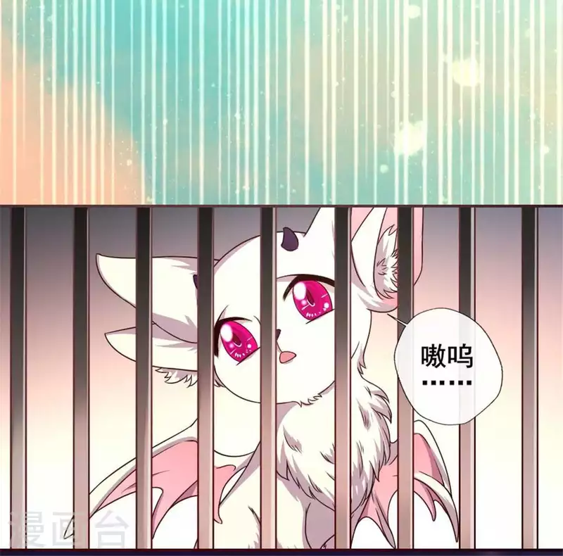 第38话 Get到一只萌宠-第43话