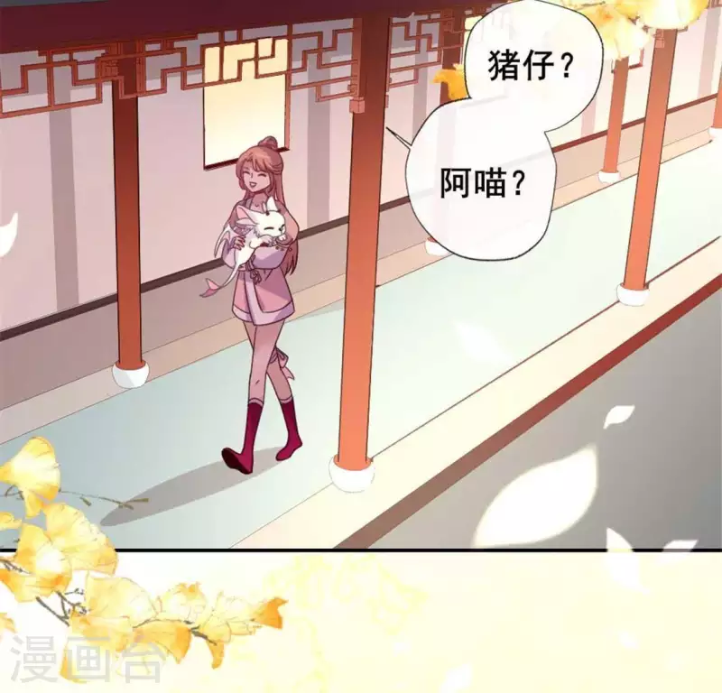 第38话 Get到一只萌宠-第43话