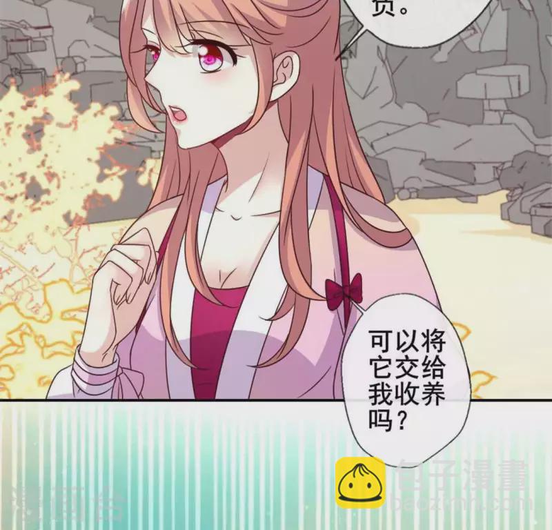 第38话 Get到一只萌宠-第43话