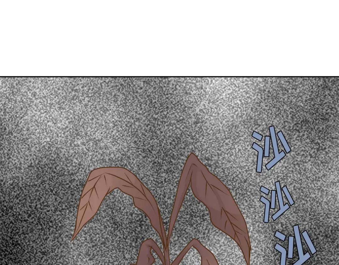 第132话 -(1/2)-第133话