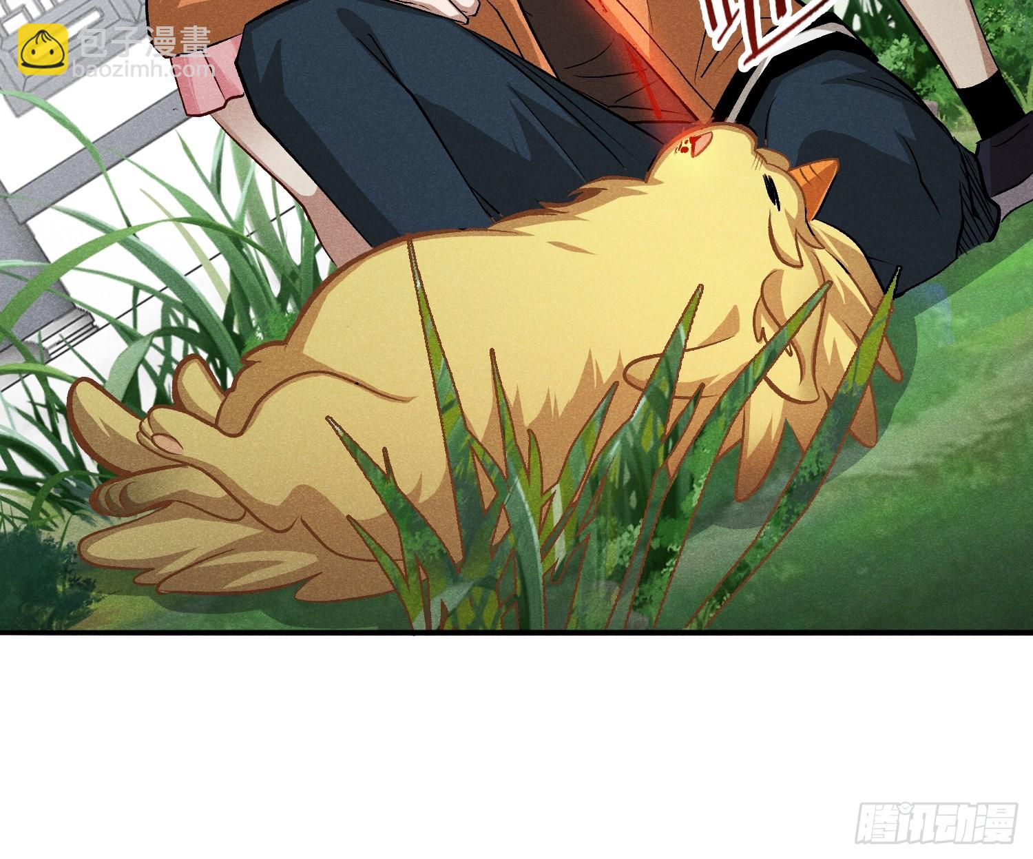 30：皮都展开了-第31话