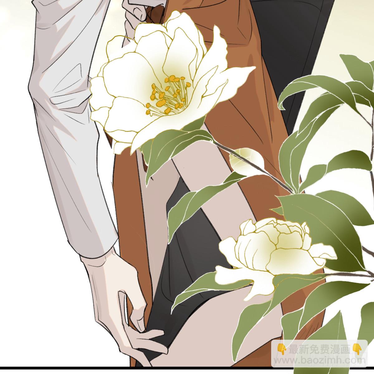 番外3：大神直播间6-第71话