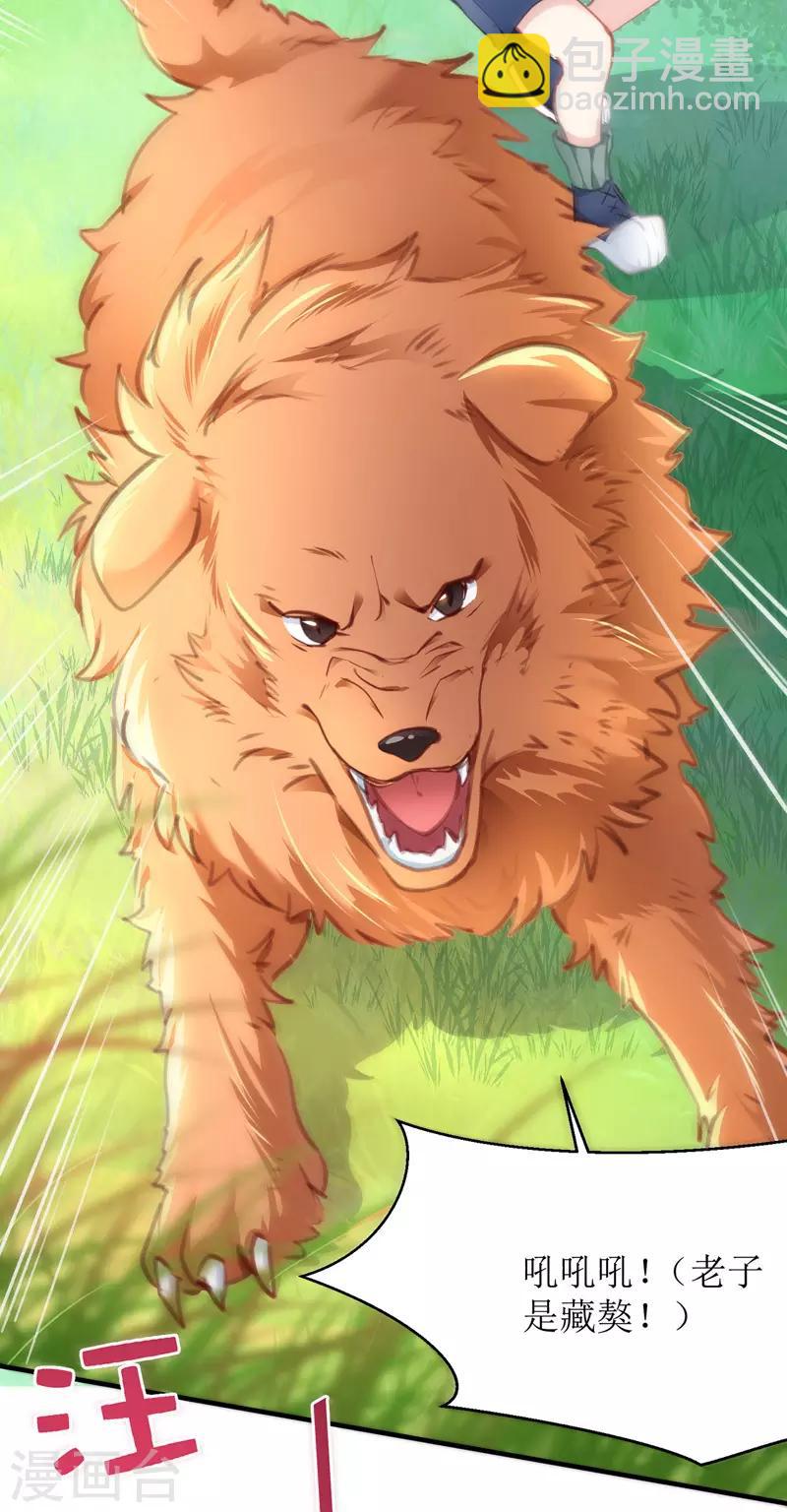 第2话 大白的生日-第3话