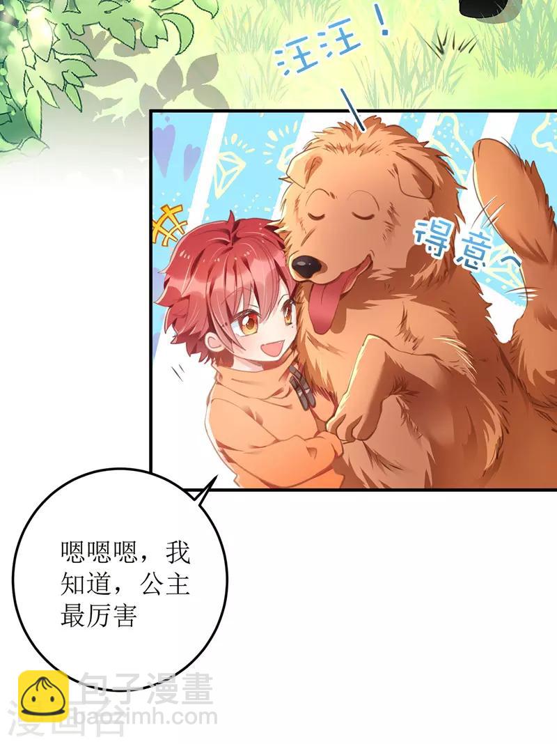 第2话 大白的生日-第3话